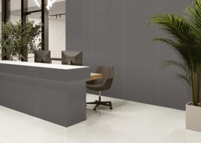 PLANO SILVER GREY 001 (Glossy)